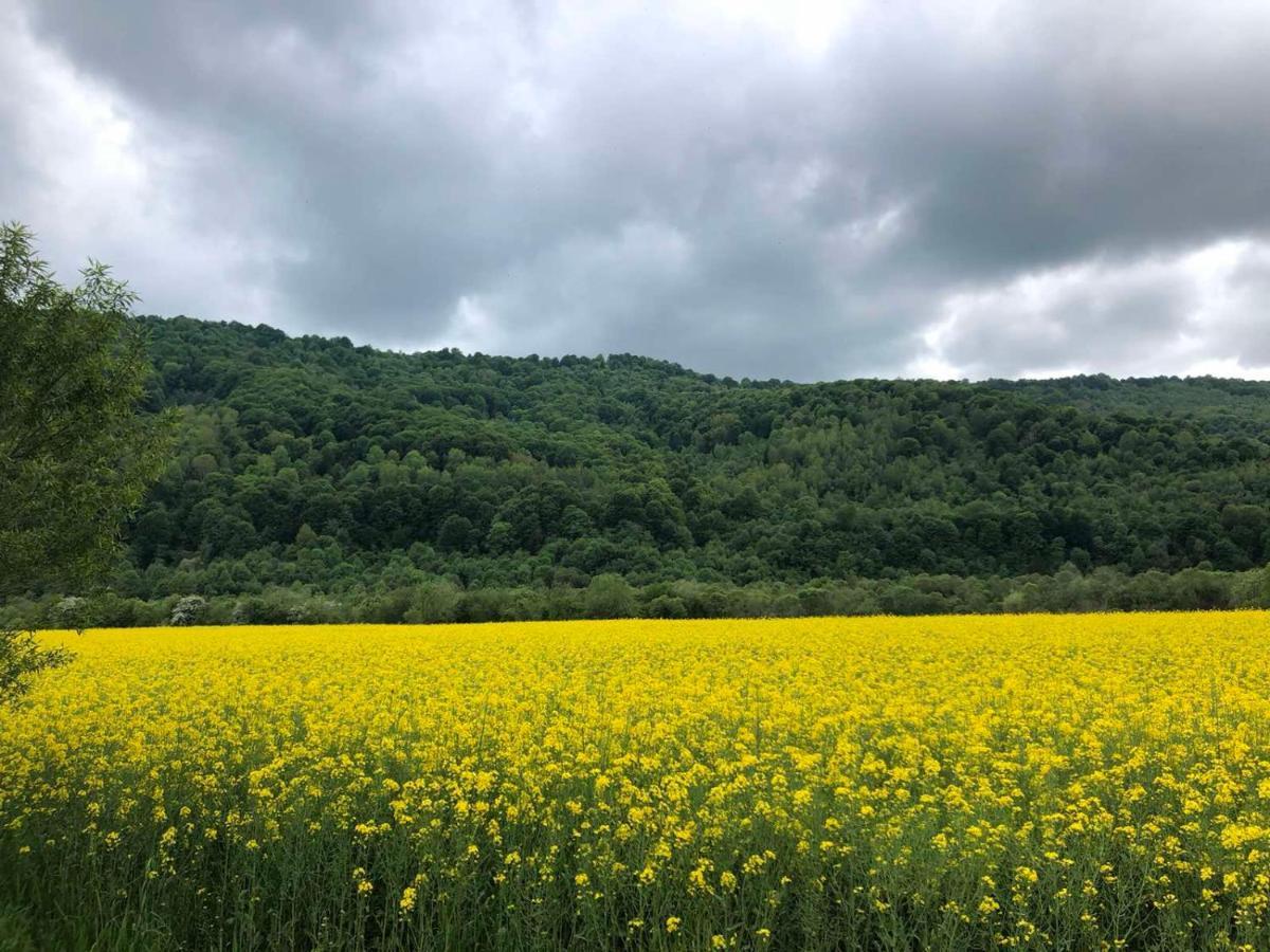 Апартаменти Олівія Skhidnytsia Eksteriør billede