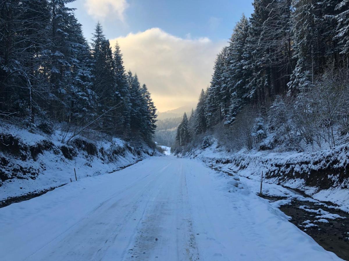 Апартаменти Олівія Skhidnytsia Eksteriør billede